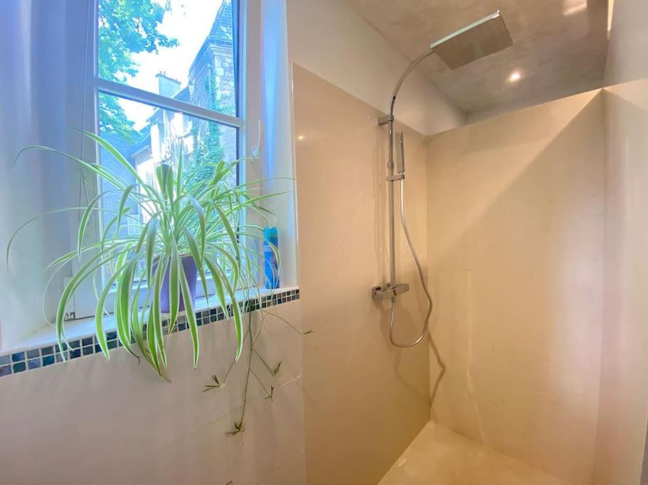 Charmant Appartement - Centre Cite Plantagenet!!! 르망 외부 사진